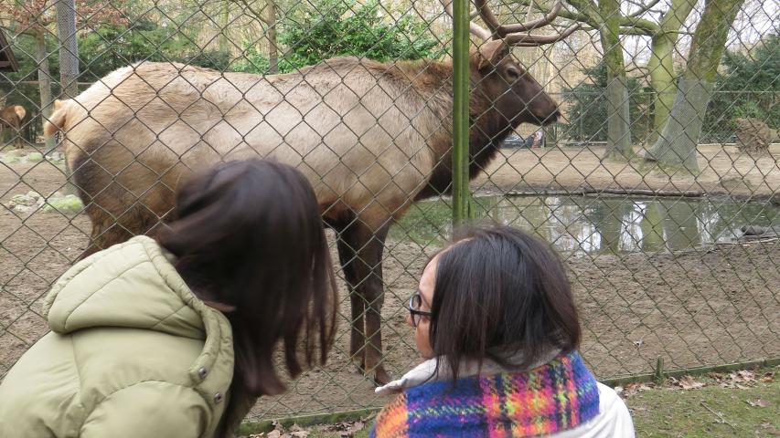 Wunschfahrt zum Tierpark Hagenbeck